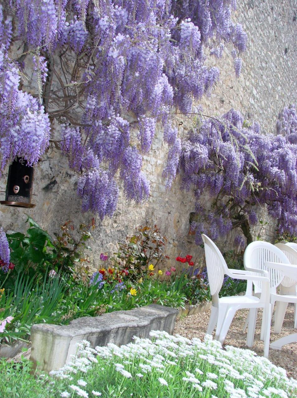 Hotel De La Ferte Chagny  Bagian luar foto